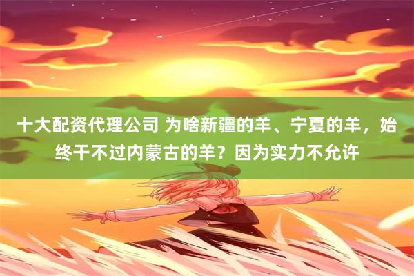 十大配资代理公司 为啥新疆的羊、宁夏的羊，始终干不过内蒙古的羊？因为实力不允许