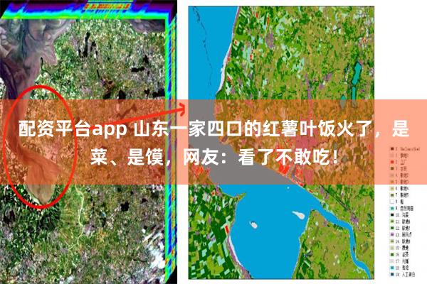 配资平台app 山东一家四口的红薯叶饭火了，是菜、是馍，网友：看了不敢吃！