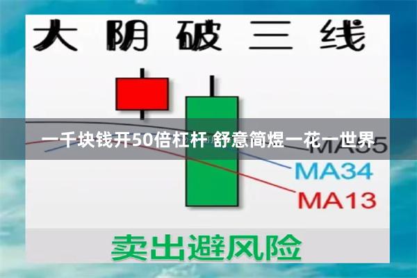 一千块钱开50倍杠杆 舒意简煜一花一世界