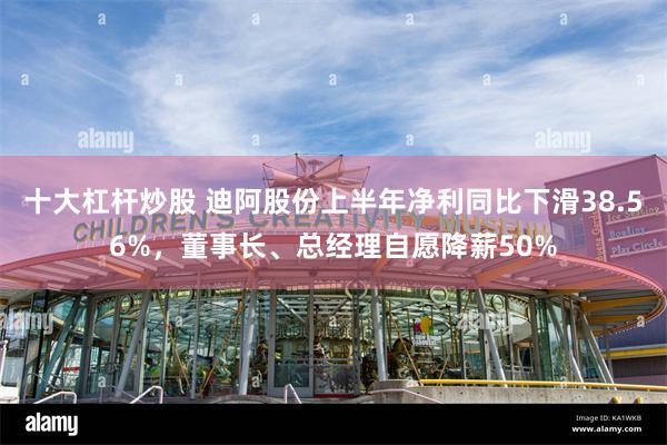 十大杠杆炒股 迪阿股份上半年净利同比下滑38.56%，董事长、总经理自愿降薪50%