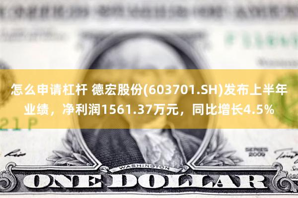 怎么申请杠杆 德宏股份(603701.SH)发布上半年业绩，净利润1561.37万元，同比增长4.5%