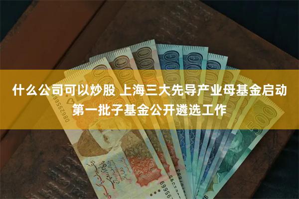 什么公司可以炒股 上海三大先导产业母基金启动第一批子基金公开遴选工作