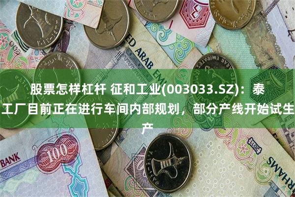 股票怎样杠杆 征和工业(003033.SZ)：泰国工厂目前正在进行车间内部规划，部分产线开始试生产