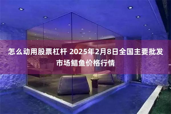 怎么动用股票杠杆 2025年2月8日全国主要批发市场鲳鱼价格行情