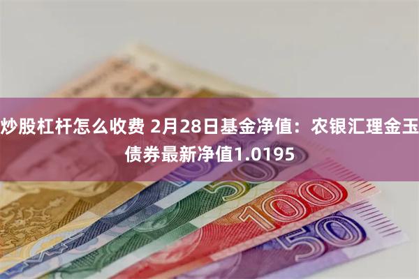 炒股杠杆怎么收费 2月28日基金净值：农银汇理金玉债券最新净值1.0195