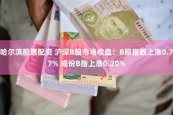 哈尔滨股票配资 沪深B股市场收盘：B股指数上涨0.77% 成份B指上涨0.20%